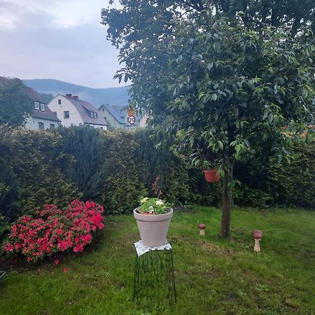 Ferienwohnung Pod Debem Jugów Exterior foto