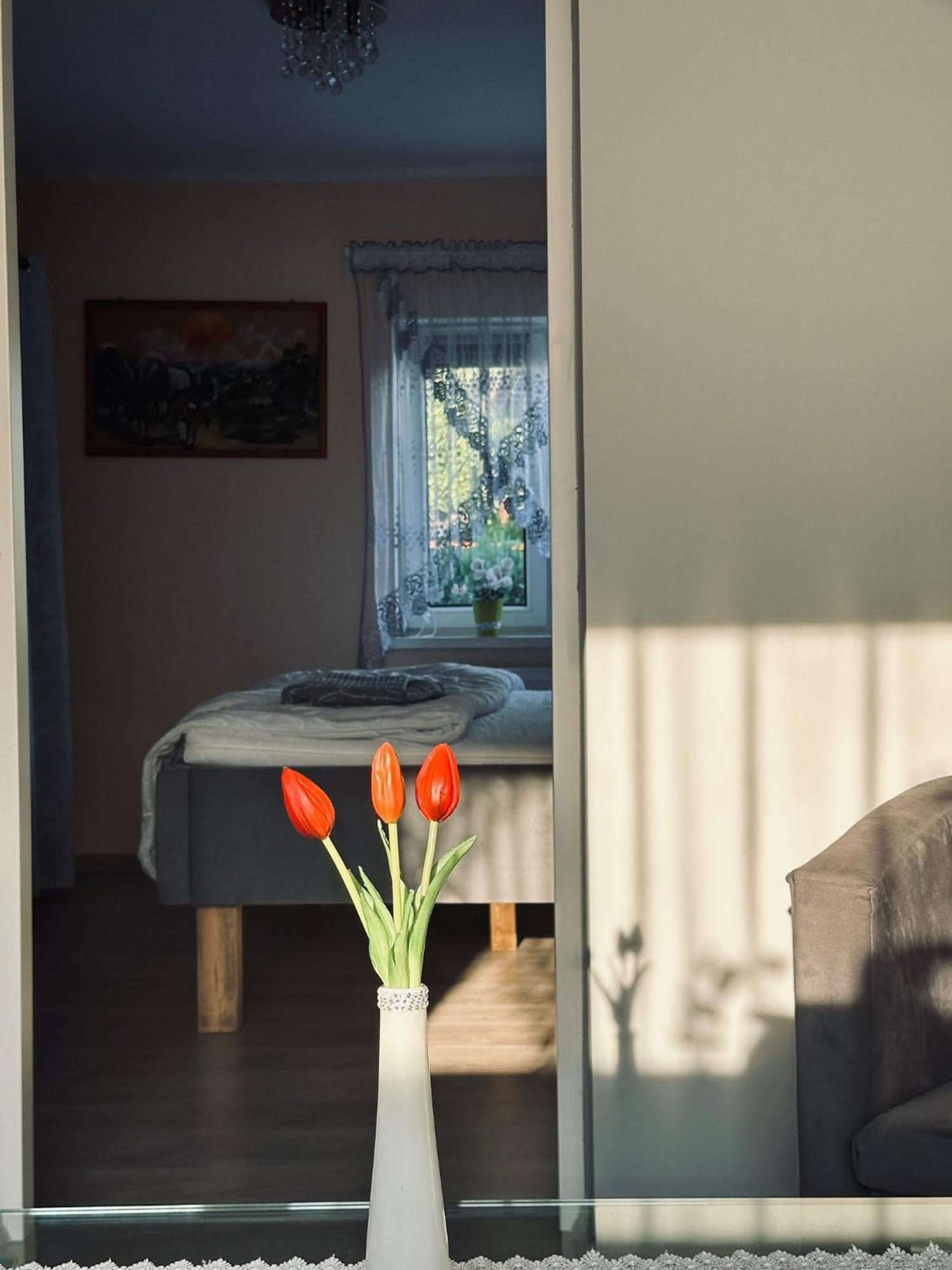 Ferienwohnung Pod Debem Jugów Exterior foto
